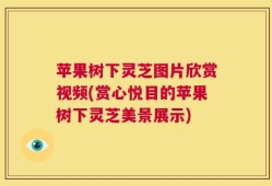苹果树下灵芝图片欣赏视频(赏心悦目的苹果树下灵芝美景展示)
