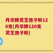 丹华牌灵芝孢子粉120克(丹华牌120克灵芝孢子粉)