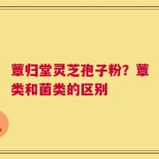 蕈归堂灵芝孢子粉？蕈类和菌类的区别