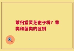 蕈归堂灵芝孢子粉？蕈类和菌类的区别