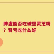 脾虚能否吃破壁灵芝粉？肾亏吃什么好