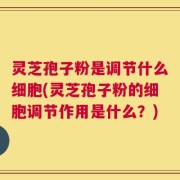 灵芝孢子粉是调节什么细胞(灵芝孢子粉的细胞调节作用是什么？)