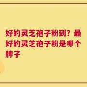 好的灵芝孢子粉到？最好的灵芝孢子粉是哪个牌子