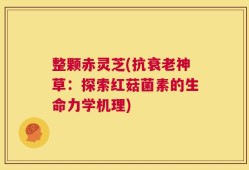 整颗赤灵芝(抗衰老神草：探索红菇菌素的生命力学机理)