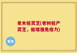 老木桩灵芝(老树桩产灵芝，能增强免疫力)