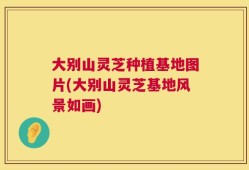 大别山灵芝种植基地图片(大别山灵芝基地风景如画)
