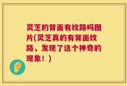 灵芝的背面有纹路吗图片(灵芝真的有背面纹路，发现了这个神奇的现象！)
