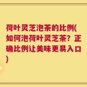 荷叶灵芝泡茶的比例(如何泡荷叶灵芝茶？正确比例让美味更易入口)