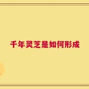 千年灵芝是如何形成
