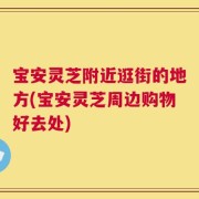 宝安灵芝附近逛街的地方(宝安灵芝周边购物好去处)