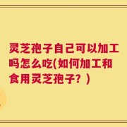 灵芝孢子自己可以加工吗怎么吃(如何加工和食用灵芝孢子？)