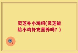 灵芝补小鸡吗(灵芝能给小鸡补充营养吗？)