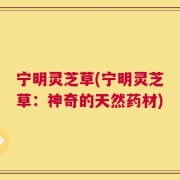 宁明灵芝草(宁明灵芝草：神奇的天然药材)