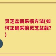 灵芝盆栽采摘方法(如何正确采摘灵芝盆栽？)