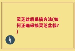 灵芝盆栽采摘方法(如何正确采摘灵芝盆栽？)