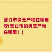 营口市灵芝产地在哪里呀(营口市的灵芝产地在哪里？)