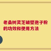 老桑树灵芝破壁孢子粉的功效和使用方法