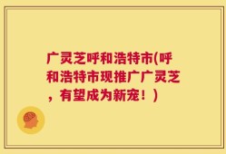 广灵芝呼和浩特市(呼和浩特市现推广广灵芝，有望成为新宠！)