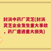 封浜中药厂灵芝(封浜灵芝企业发生重大事故，药厂遭遇重大损失)