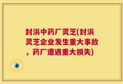 封浜中药厂灵芝(封浜灵芝企业发生重大事故，药厂遭遇重大损失)