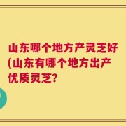 山东哪个地方产灵芝好(山东有哪个地方出产优质灵芝？