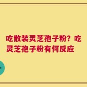 吃散装灵芝孢子粉？吃灵芝孢子粉有何反应