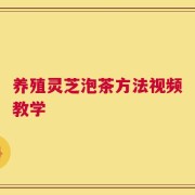 养殖灵芝泡茶方法视频教学