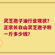 灵芝孢子油行业现状？正宗长白山灵芝孢子粉一斤多少钱？