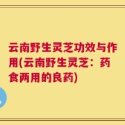云南野生灵芝功效与作用(云南野生灵芝：药食两用的良药)