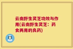 云南野生灵芝功效与作用(云南野生灵芝：药食两用的良药)