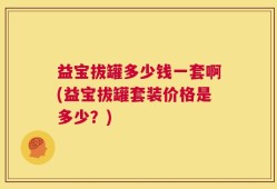 益宝拔罐多少钱一套啊(益宝拔罐套装价格是多少？)