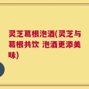 灵芝葛根泡酒(灵芝与葛根共饮 泡酒更添美味)