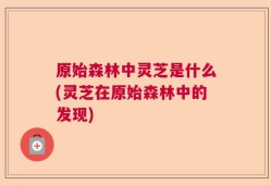 原始森林中灵芝是什么(灵芝在原始森林中的发现)