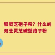 璧灵芝孢子粉？什么叫双芝灵芝破壁孢子粉