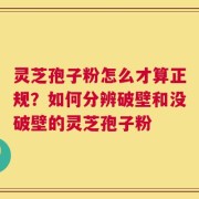 灵芝孢子粉怎么才算正规？如何分辨破壁和没破壁的灵芝孢子粉