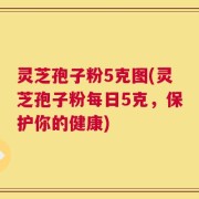 灵芝孢子粉5克图(灵芝孢子粉每日5克，保护你的健康)