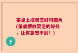 茶桌上摆灵芝好吗图片(茶桌摆放灵芝的好处，让你意想不到！)