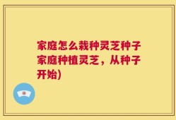 家庭怎么栽种灵芝种子家庭种植灵芝，从种子开始)