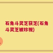 石角斗灵芝获芝(石角斗灵芝被珍视)