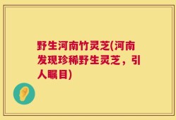 野生河南竹灵芝(河南发现珍稀野生灵芝，引人瞩目)