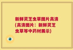 新鲜灵芝虫草图片高清(高清图片：新鲜灵芝虫草等中药材展示)