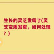 生长的灵芝发霉了(灵芝变质发霉，如何处理？)