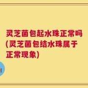 灵芝菌包起水珠正常吗(灵芝菌包结水珠属于正常现象)