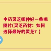 中药灵芝哪种好一些呢图片(灵芝药材：如何选择最好的灵芝？)