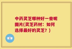 中药灵芝哪种好一些呢图片(灵芝药材：如何选择最好的灵芝？)
