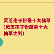 灵芝孢子粉是十大仙草(灵芝孢子粉跻身十大仙草之列)