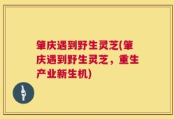 肇庆遇到野生灵芝(肇庆遇到野生灵芝，重生产业新生机)