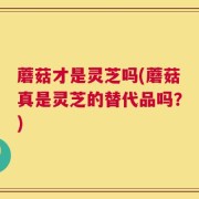 蘑菇才是灵芝吗(蘑菇真是灵芝的替代品吗？)