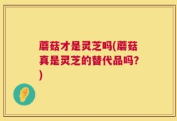 蘑菇才是灵芝吗(蘑菇真是灵芝的替代品吗？)