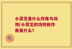 小灵芝是什么作用与功效(小灵芝的功效和作用是什么？